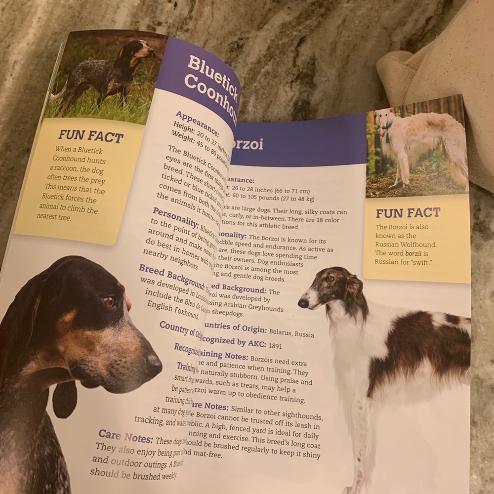 *Dogs encyclopedia book - Picture 6 of 10